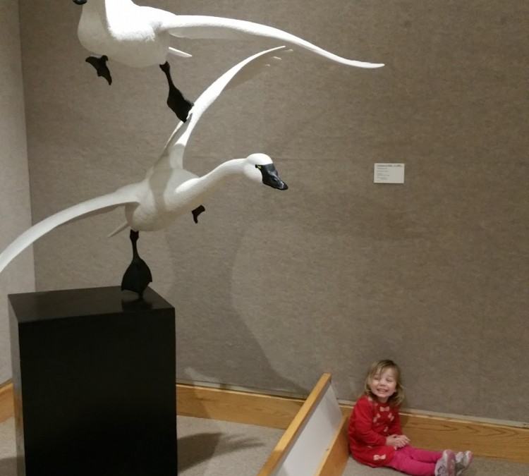 the-ward-museum-of-wildfowl-art-photo
